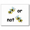 /album/fotogalerij/two-bees-or-not-two-bees-postcard-r9157061dc578496f83b73067d994d410-vgbaq-8byvr-324-jpg/